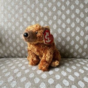 Ty Sequoia bear beanie baby. DOB 7/17/2001